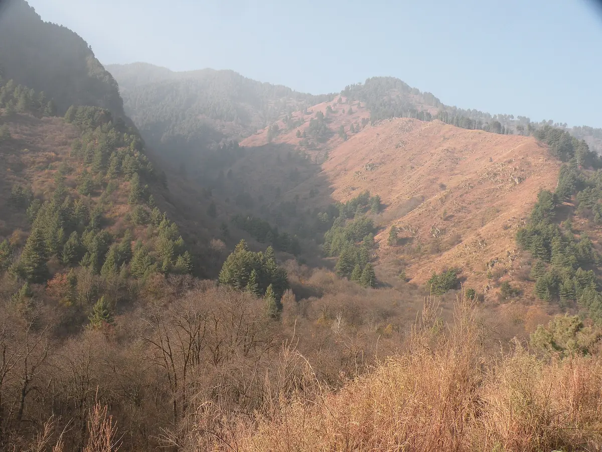 Lower Dachigam, where most hangul spend the winter