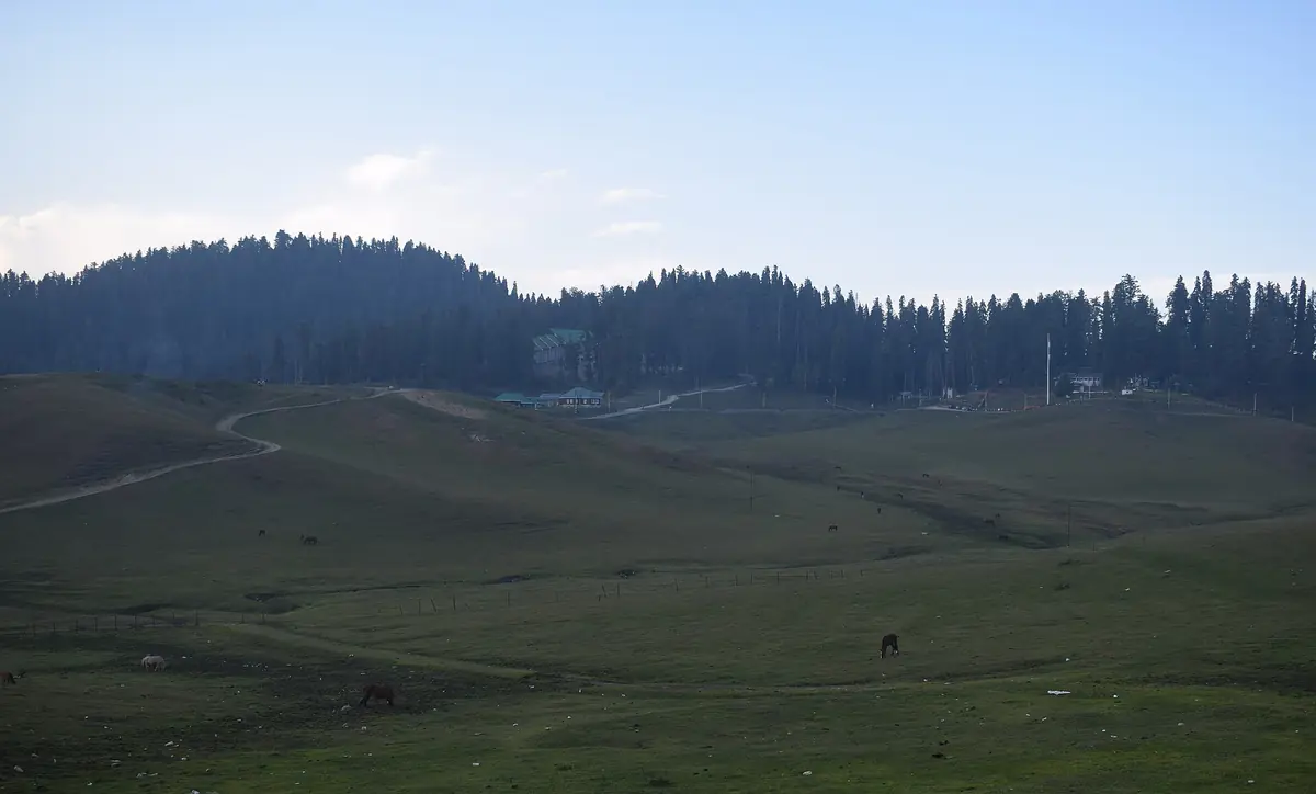 Green meadows of Gulmarg ringed by forest in summer